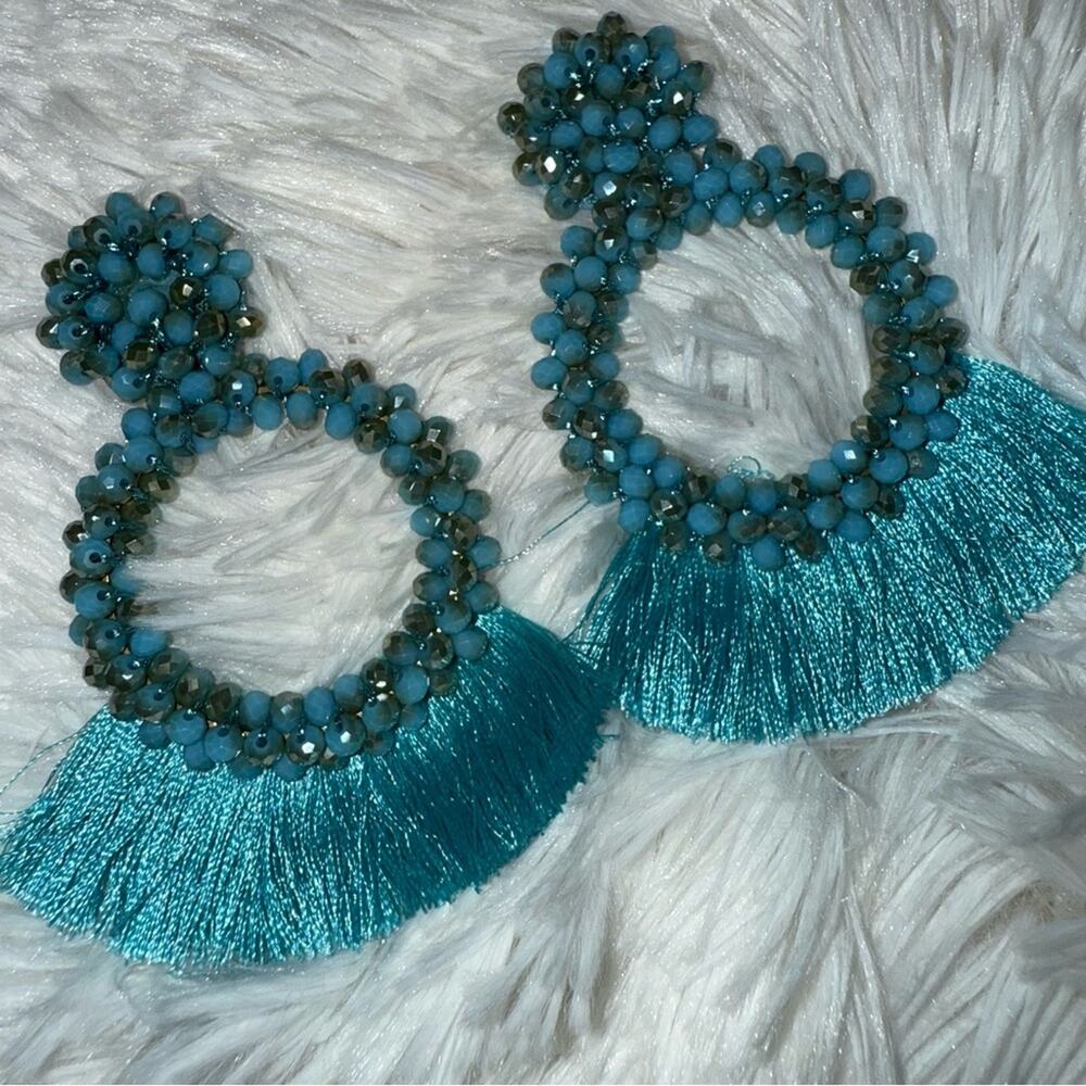 CC Chic studded sequin fringe earrings